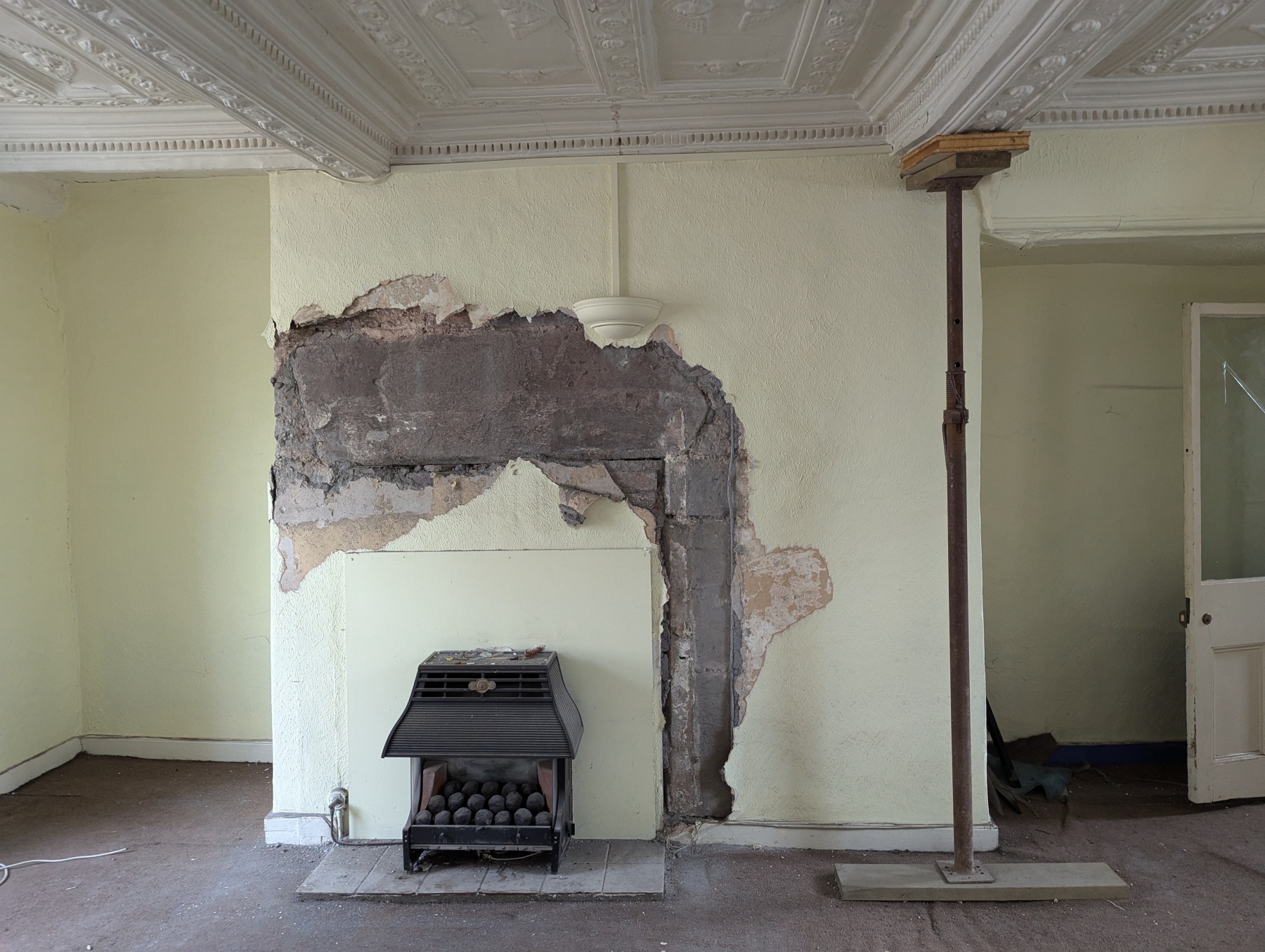 PXL 20240801 141157229