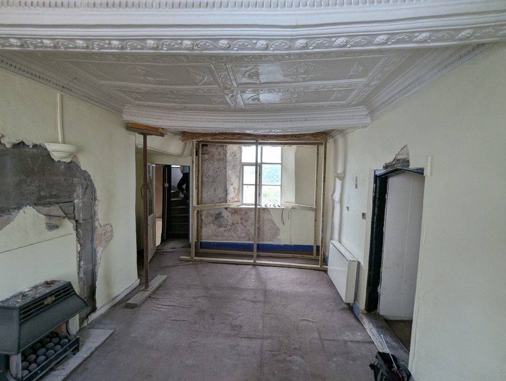 PXL 20240801 141136139