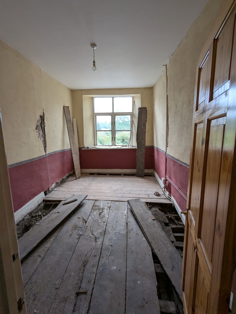 PXL 20240801 141304351