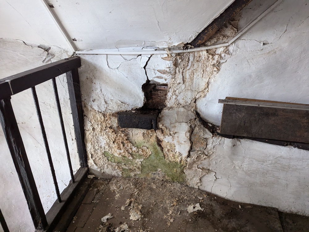 PXL 20240801 142142743